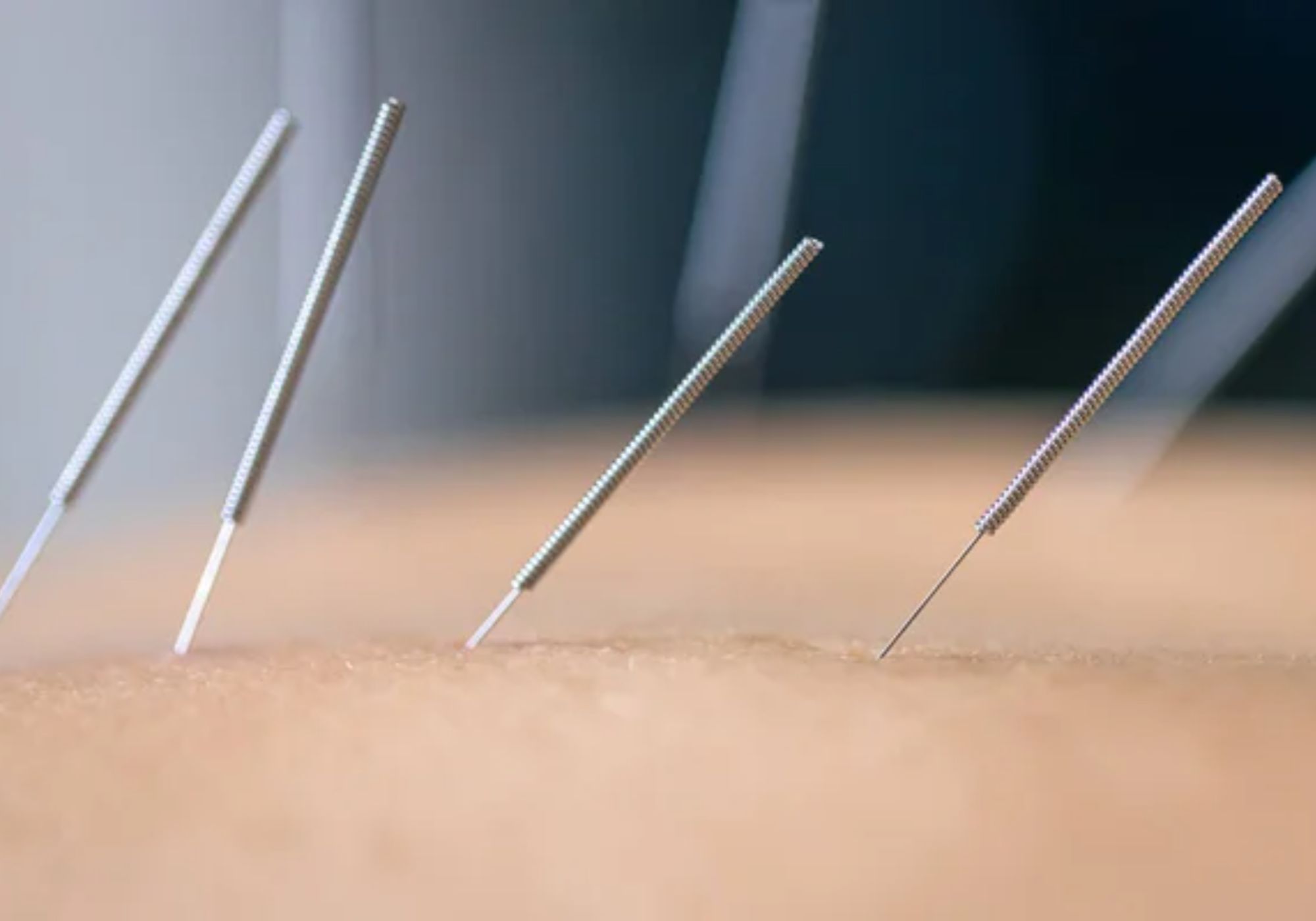 Digestive Health & Gut Restoration in Shelton, CT