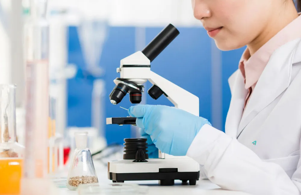 Digestive Health & Gut Restoration in Shelton, CT