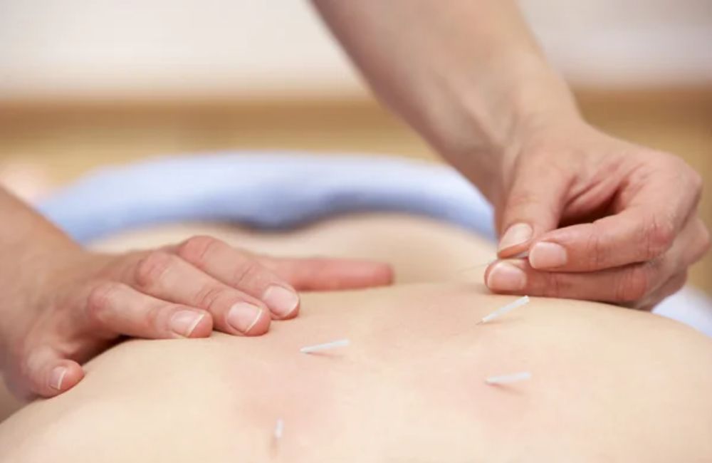 Digestive Health & Gut Restoration in Shelton, CT