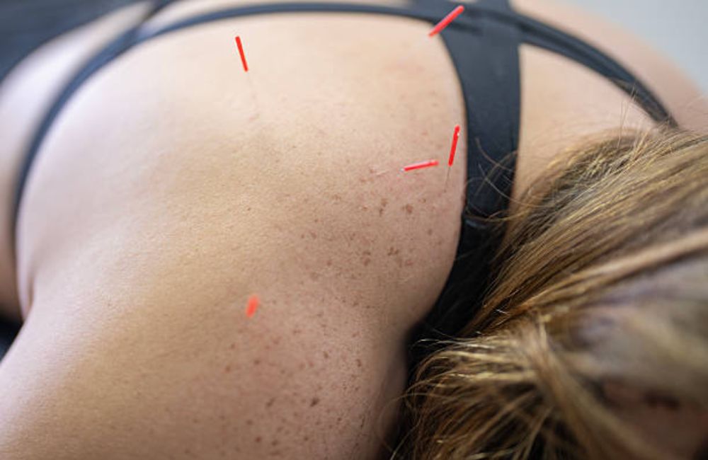 Digestive Health & Gut Restoration in Shelton, CT